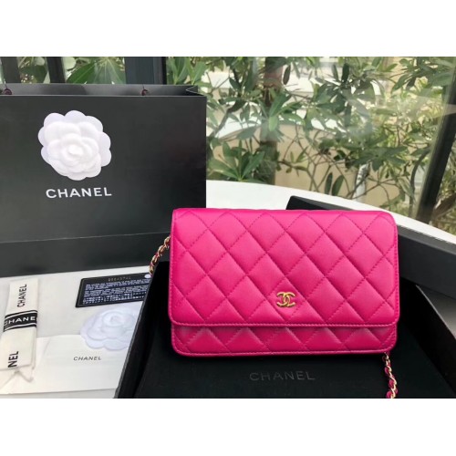 Chanel Woc Bag CWB4434444578